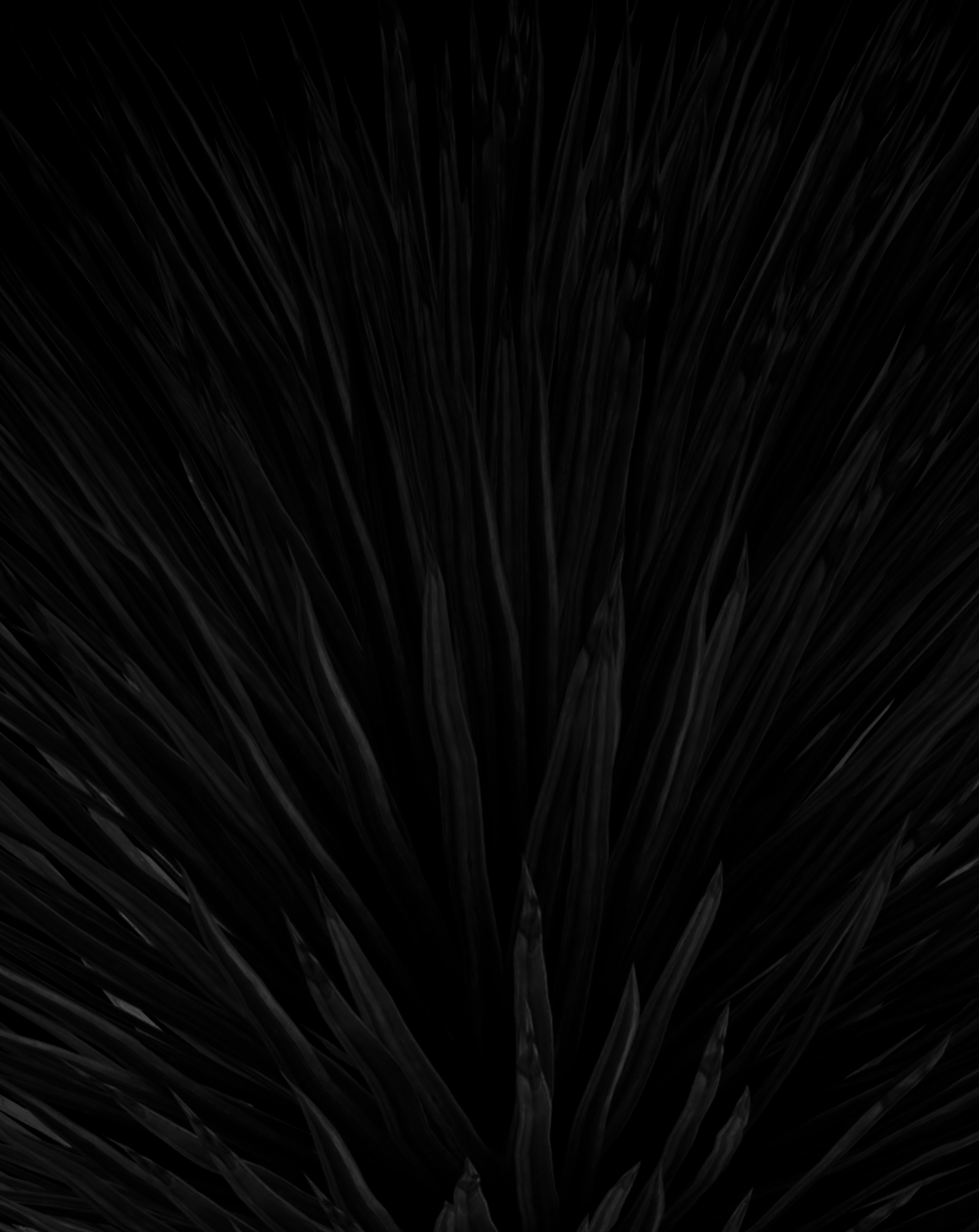 Single Image